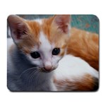 Cute Kitten Large Mousepad