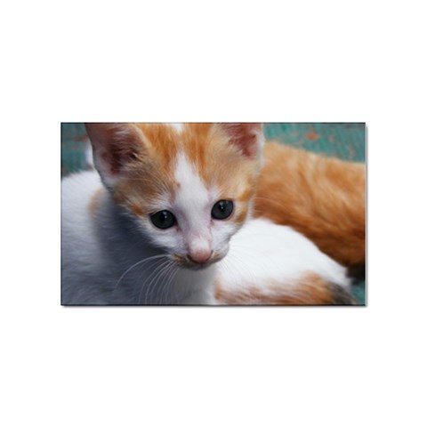 Cute Kitten Sticker (Rectangular) from UrbanLoad.com Front