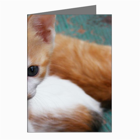 Cute Kitten Greeting Cards (Pkg of 8) from UrbanLoad.com Left