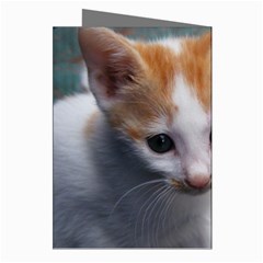Cute Kitten Greeting Cards (Pkg of 8) from UrbanLoad.com Right