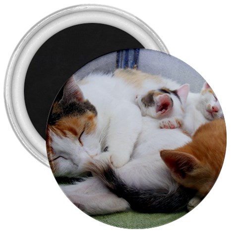 Sleeping Kittens 3  Magnet from UrbanLoad.com Front