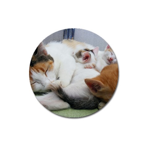Sleeping Kittens Magnet 3  (Round) from UrbanLoad.com Front