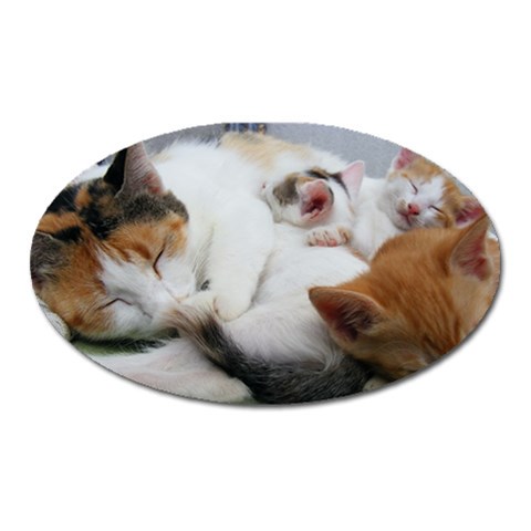 Sleeping Kittens Magnet (Oval) from UrbanLoad.com Front