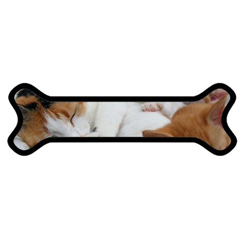 Sleeping Kittens Magnet (Dog Bone) from UrbanLoad.com Front