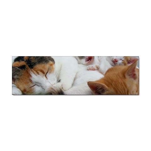 Sleeping Kittens Sticker Bumper (10 pack) from UrbanLoad.com Front