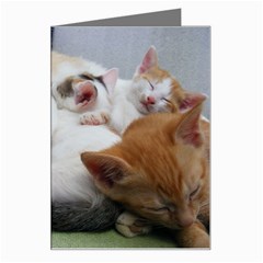 Sleeping Kittens Greeting Card from UrbanLoad.com Left