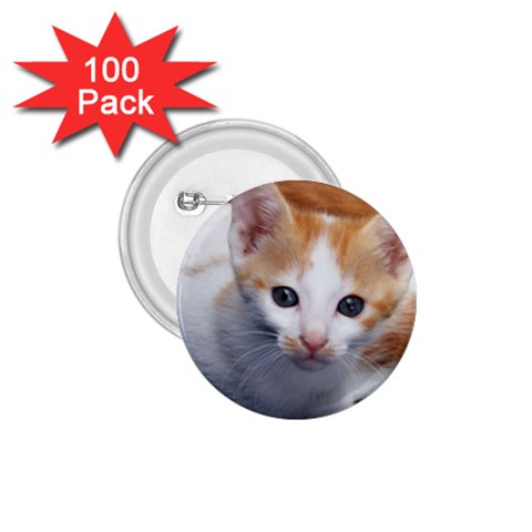 Cute Kitten 2 1.75  Button (100 pack)  from UrbanLoad.com Front