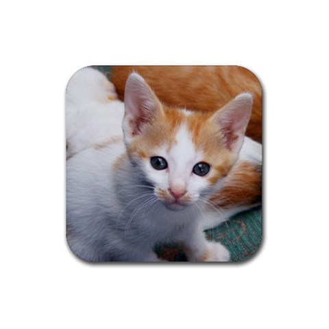 Cute Kitten 2 Rubber Coaster (Square) from UrbanLoad.com Front