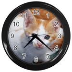Cute Kitten 2 Wall Clock (Black)