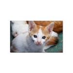 Cute Kitten 2 Sticker (Rectangular)