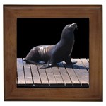 Seal on Deck Framed Tile