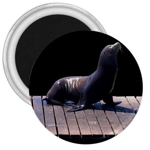 Seal on Deck 3  Magnet from UrbanLoad.com Front