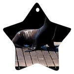 Seal on Deck Ornament (Star)