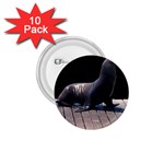 Seal on Deck 1.75  Button (10 pack) 