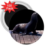 Seal on Deck 3  Magnet (100 pack)