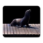 Seal on Deck Large Mousepad