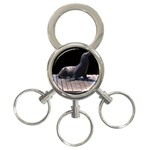 Seal on Deck 3-Ring Key Chain