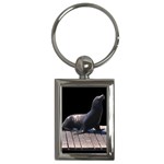 Seal on Deck Key Chain (Rectangle)