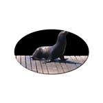Seal on Deck Sticker (Oval)