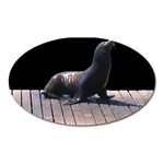 Seal on Deck Magnet (Oval)
