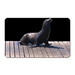 Seal on Deck Magnet (Rectangular)
