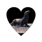 Seal on Deck Magnet (Heart)
