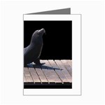 Seal on Deck Mini Greeting Card