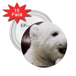 Polar Bear Cub Smile 2.25  Button (10 pack)