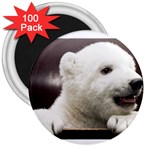 Polar Bear Cub Smile 3  Magnet (100 pack)