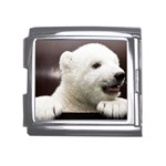 Polar Bear Cub Smile Mega Link Italian Charm (18mm)