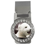 Polar Bear Cub Smile Money Clip (CZ)