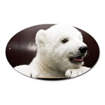 Polar Bear Cub Smile Magnet (Oval)