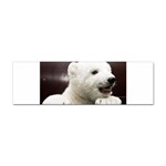 Polar Bear Cub Smile Sticker Bumper (10 pack)