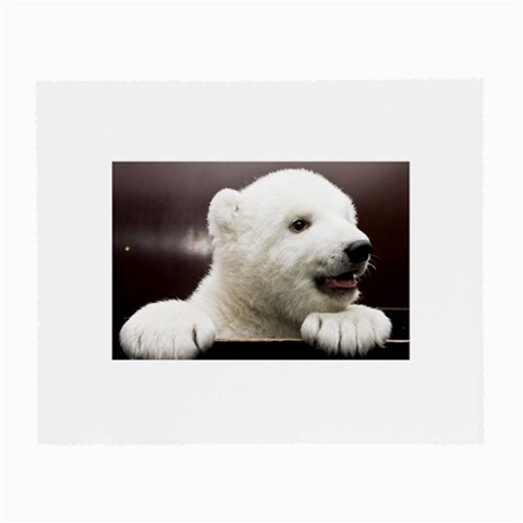 Polar Bear Cub Smile Glasses Cloth from UrbanLoad.com Front
