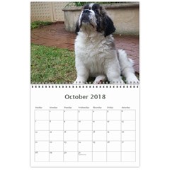 Claude 18 month calendar 2017 Oct 2018