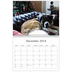 Claude 18 month calendar 2017 Dec 2018