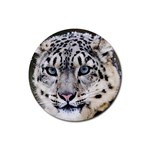 Snow Leopard Animal Rubber Round Coaster (4 pack)