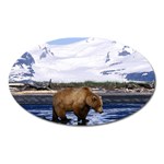 Brown Bear Animal Magnet (Oval)
