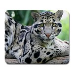 Awesome Leopard Animal Large Mousepad