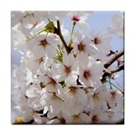 Cherry Blossom Floral Tile Coaster