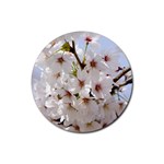 Cherry Blossom Floral Rubber Round Coaster (4 pack)