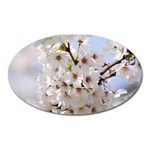 Cherry Blossom Floral Magnet (Oval)