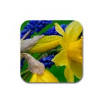 Daffodils and Hyacinth Floral Rubber Square Coaster (4 pack)