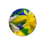 Daffodils and Hyacinth Floral Magnet 3  (Round)