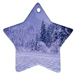 Icy Lake Ornament (Star)