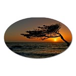 Ocean Sunset Magnet (Oval)