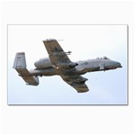 A-10 Thunderbolt II  C-model Postcard 4 x 6  (Pkg of 10)