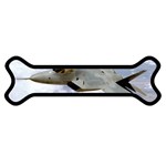 F A-22 Raptor Magnet (Dog Bone)