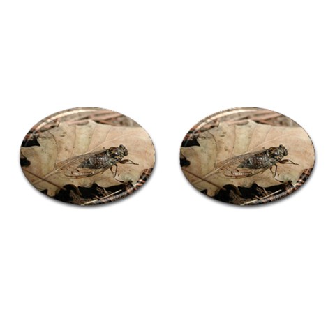 Harvest Fly Cufflinks (Oval) from UrbanLoad.com Front(Pair)