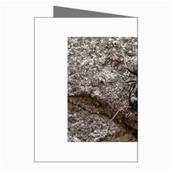 Black Ant Greeting Cards (Pkg of 8) from UrbanLoad.com Right